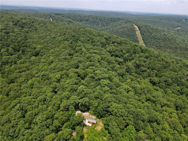 0000 County Road 207, Eureka Springs, AR 72632 - photo 12