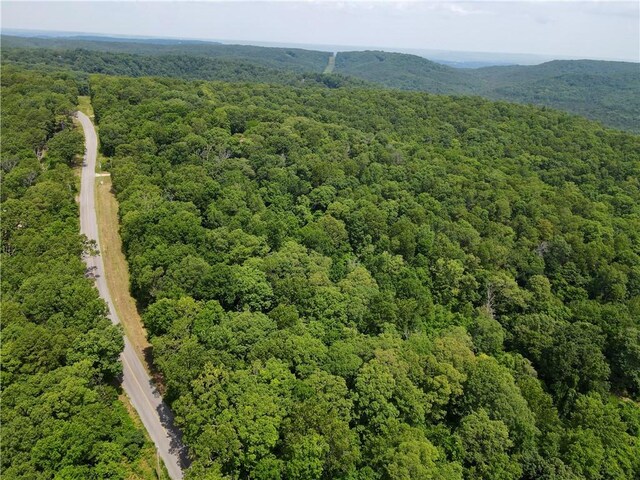 0000 County Road 207, Eureka Springs, AR 72632 - photo 14