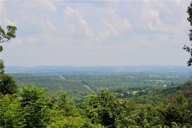 0000 County Road 207, Eureka Springs, AR 72632 - photo 15