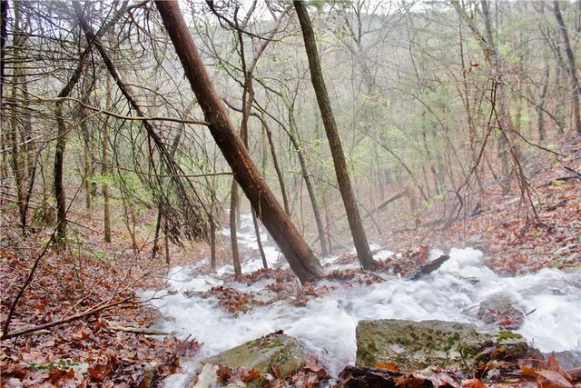 0000 County Road 207, Eureka Springs, AR 72632 - photo 24