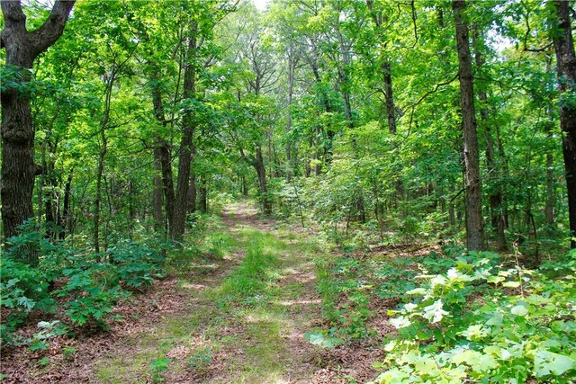 0000 County Road 207, Eureka Springs, AR 72632 - photo 25