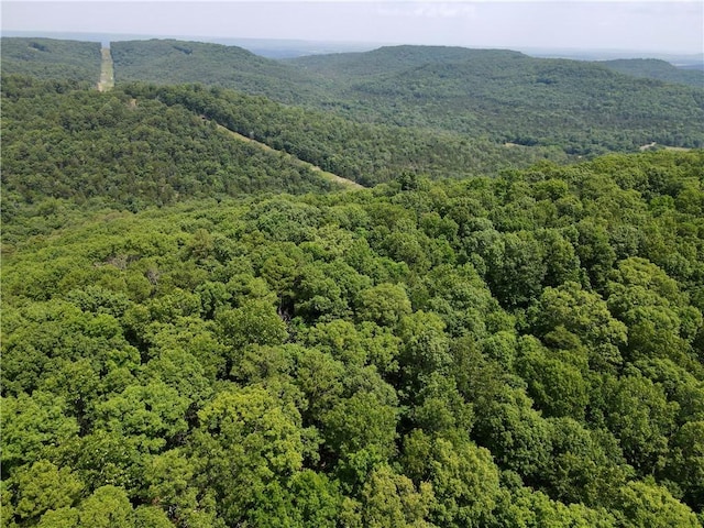0000 County Road 207, Eureka Springs, AR 72632 - photo 27
