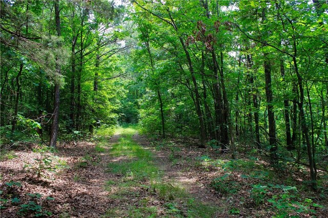0000 County Road 207, Eureka Springs, AR 72632 - photo 28