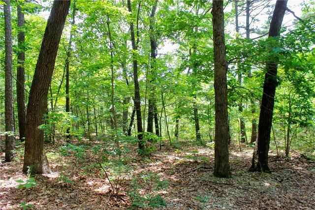 0000 County Road 207, Eureka Springs, AR 72632 - photo 31