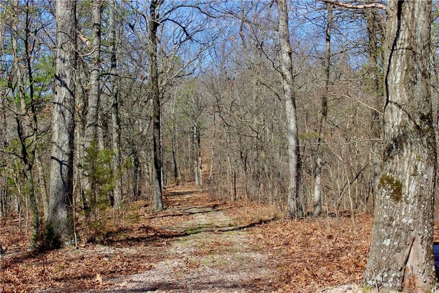 0000 County Road 207, Eureka Springs, AR 72632 - photo 46