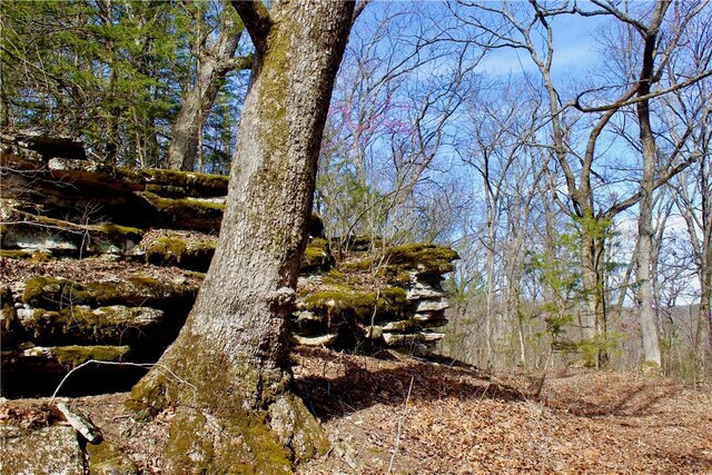 0000 County Road 207, Eureka Springs, AR 72632 - photo 48