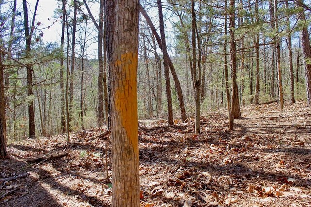 0000 County Road 207, Eureka Springs, AR 72632 - photo 51
