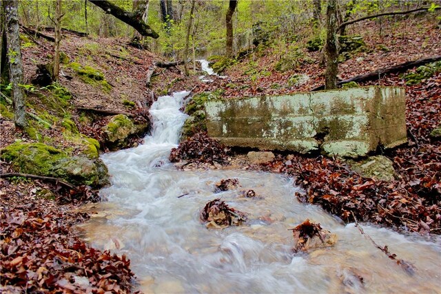 0000 County Road 207, Eureka Springs, AR 72632 - photo 52