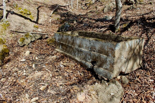 0000 County Road 207, Eureka Springs, AR 72632 - photo 53