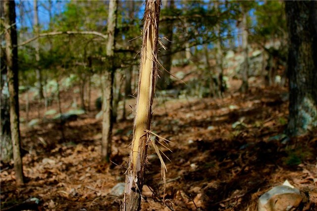 0000 County Road 207, Eureka Springs, AR 72632 - photo 55
