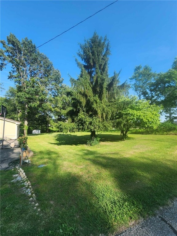 46 Hathcoat Rd, Harrison, AR 72601 - view of grassy yard