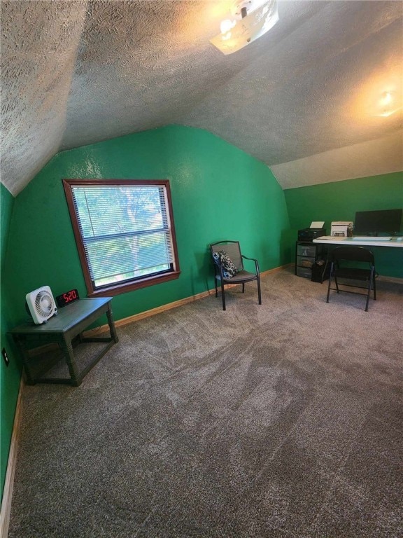 46 Hathcoat Rd, Harrison, AR 72601 - carpeted office space with a textured ceiling and lofted ceiling