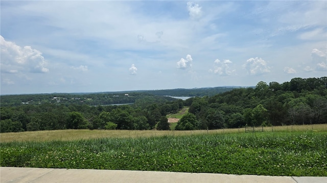 21018 Farm Rd Unit 2260, Eagle Rock, MO 65641 - mountain view featuring a forest and rural landscape