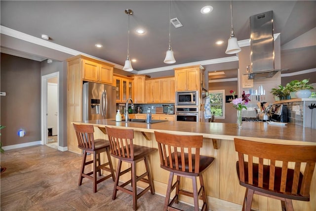 460 Viney Grove Rd, Prairie Grove, AR 72753 - kitchen with appliances with stainless steel finishes, light brown cabinetry, glass insert cabinets, island exhaust hood, and a peninsula
