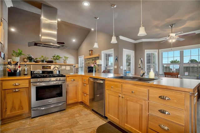 460 Viney Grove Rd, Prairie Grove, AR 72753 - kitchen featuring appliances with stainless steel finishes, island exhaust hood, a peninsula, ceiling fan, and light countertops