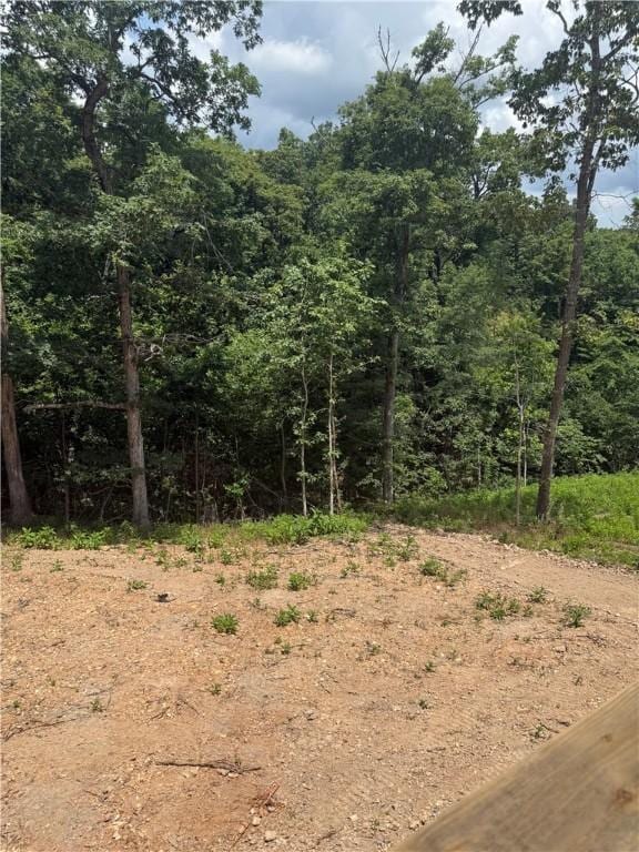 11 Kirkcolm Dr, Bella Vista, AR 72715 - photo 20