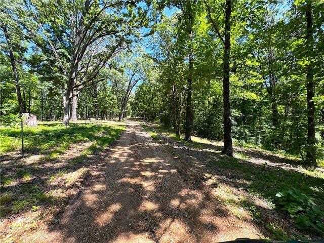 2042 Greasy Creek Ln, Washburn, MO 65772 - view of road