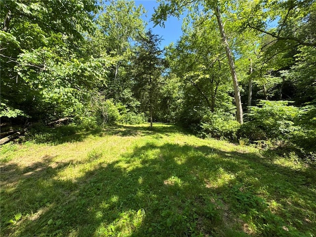 2042 Greasy Creek Ln, Washburn, MO 65772 - view of green lawn with a view of trees