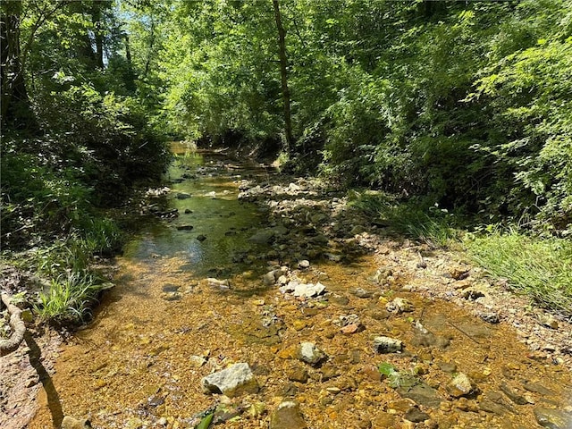 2042 Greasy Creek Ln, Washburn, MO 65772 - view of tree filled area