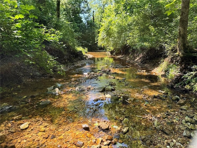 2042 Greasy Creek Ln, Washburn, MO 65772 - view of wooded area