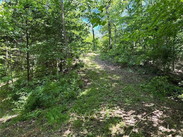 2042 Greasy Creek Ln, Washburn, MO 65772 - view of tree filled area