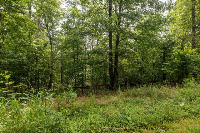 LOT14 Headley Cir, Bella Vista, AR 72714 - photo 18