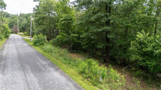 LOT14 Headley Cir, Bella Vista, AR 72714 - photo 5