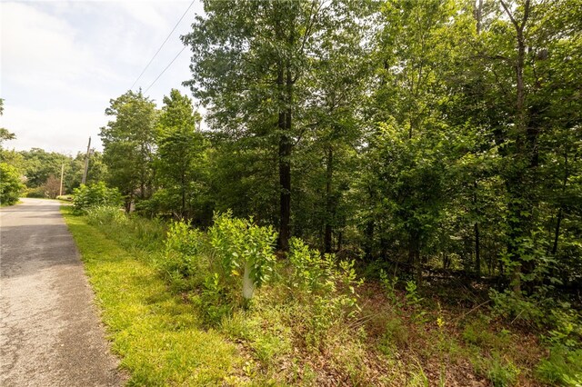 LOT14 Headley Cir, Bella Vista, AR 72714 - photo 17