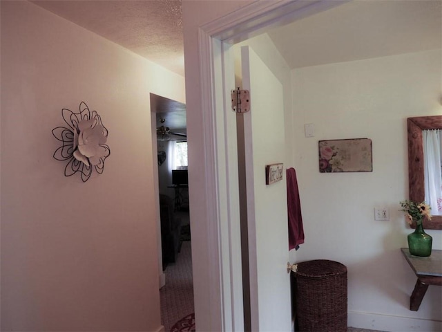 1042 County Road 445, Berryville, AR 72616 - hallway featuring baseboards