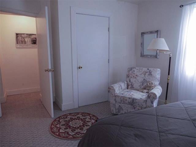 1042 County Road 445, Berryville, AR 72616 - bedroom with carpet flooring