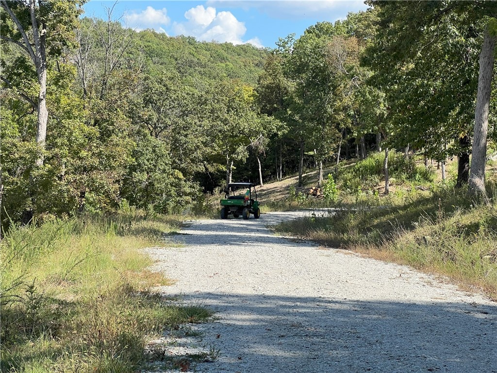 000 Ledge Rock Ln Unit 10, Omaha, AR 72662 - view of dirt / gravel road featuring a forest view