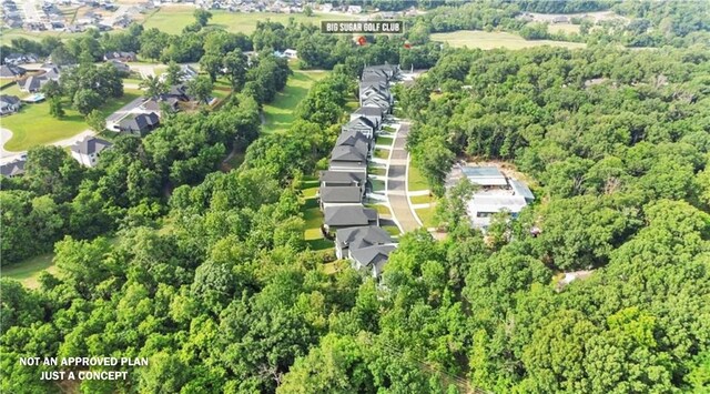 5AC Captain Miller Blvd, Pea Ridge, AR 72751