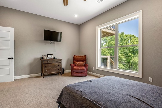 8 Mckenzie Way, Bella Vista, AR 72715 - bedroom featuring multiple windows, carpet, and a ceiling fan