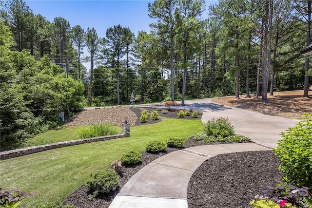 8 Mckenzie Way, Bella Vista, AR 72715 - photo 44