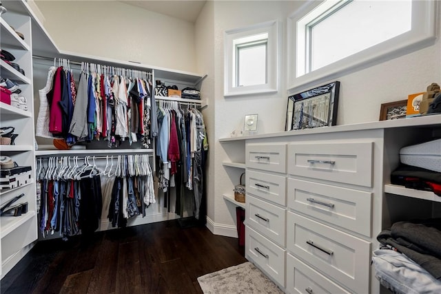 8 Mckenzie Way, Bella Vista, AR 72715 - walk in closet with dark wood-style flooring