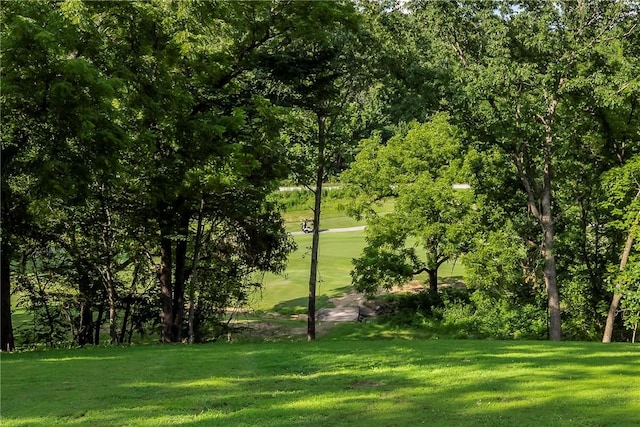 8 Mckenzie Way, Bella Vista, AR 72715 - photo 2