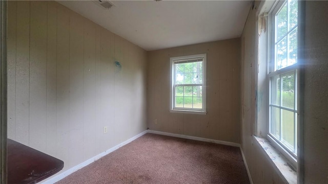4436 State Highway 288, Subiaco, AR 72865 - carpeted spare room with wooden walls