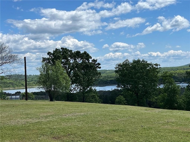 TBD Eagle View Court, Lead Hill, AR 72601 - photo 1