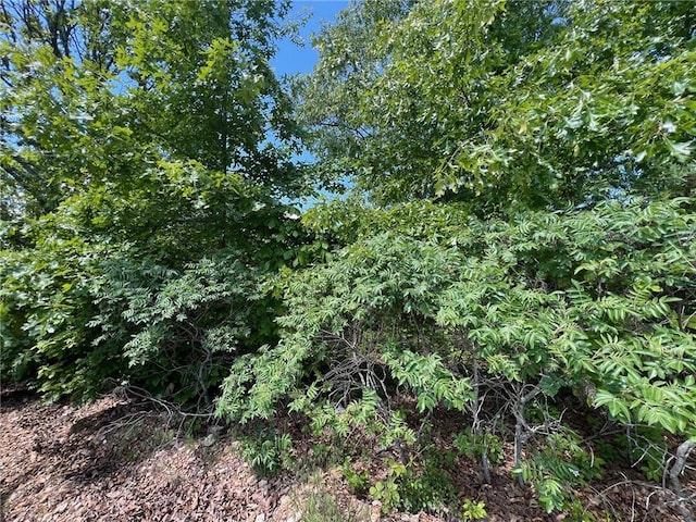 TBD Eagle View Court, Lead Hill, AR 72601 - photo 3