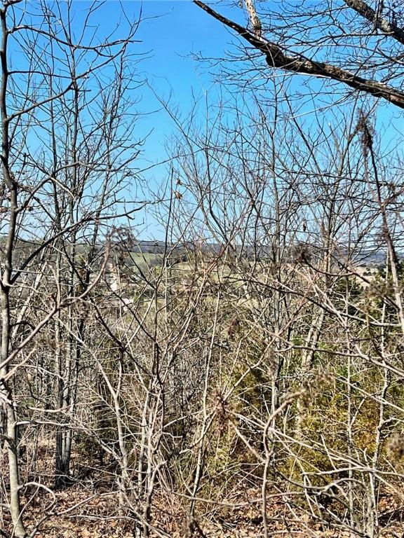 TBD Eagle View Court, Lead Hill, AR 72601 - photo 4