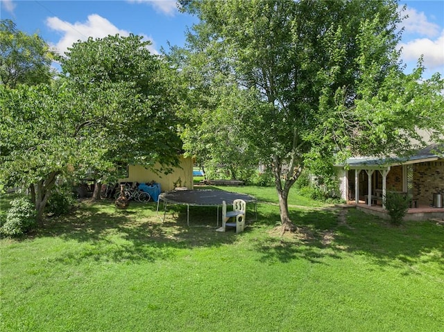 3902 Layton Dr, Harrison, AR 72601 - view of green lawn featuring a trampoline