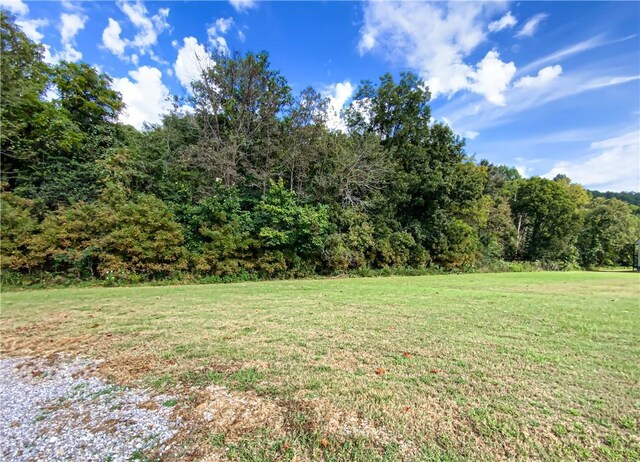 346 Crocket Ln, Norfork, AR 72658 - photo 11