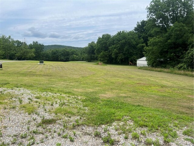 346 Crocket Ln, Norfork, AR 72658 - photo 35