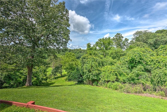 8270 Titleist Cir, Rogers, AR 72756 - view of green lawn featuring a forest view