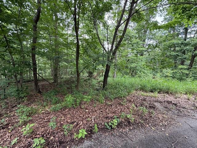Rori Ln, Bella Vista, AR 72715