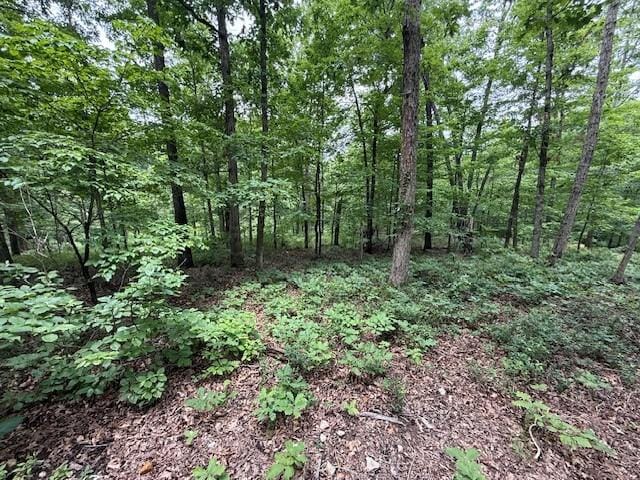 Rori Ln, Bella Vista, AR 72715