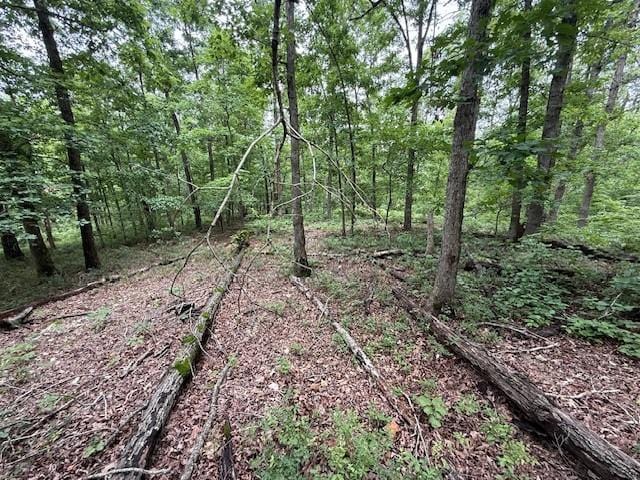 Rori Ln, Bella Vista, AR 72715