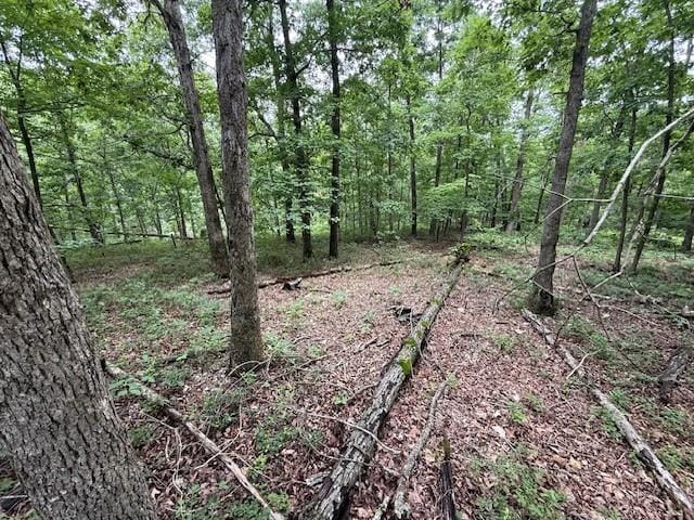 Rori Ln, Bella Vista, AR 72715