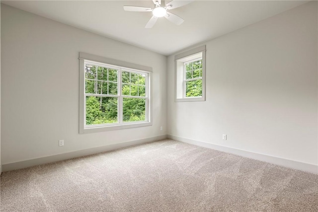 12 Florence, Bella Vista, AR 72715 - photo 28