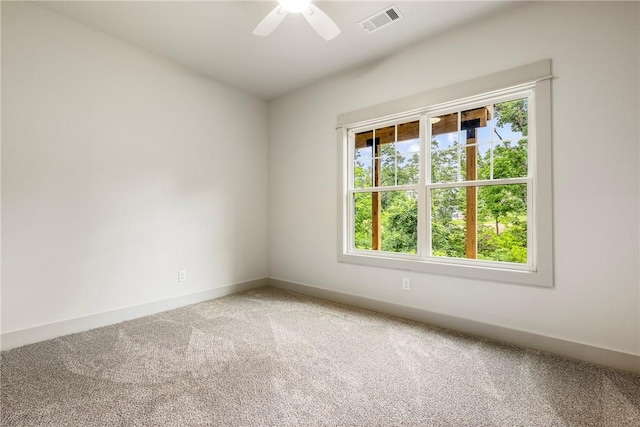 12 Florence, Bella Vista, AR 72715 - photo 30